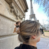 Hand-painted Brown Frenchie Dog Breed Claw Hair Clip | Eco-Friendly