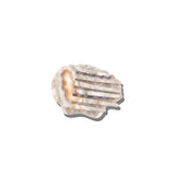 Hand-painted Seashell Lay Down Claw Clip | Eco-Friendly