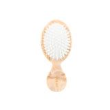 Hand-painted Wild Horse Brush | Eco-Friendly