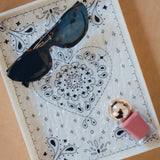 Hand-painted Paisley Inlay Heirloom Tray