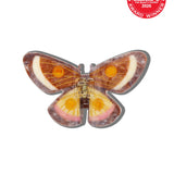 Hand-Painted Emperor Silk Moth Claw Hair Clip | Eco-Friendly